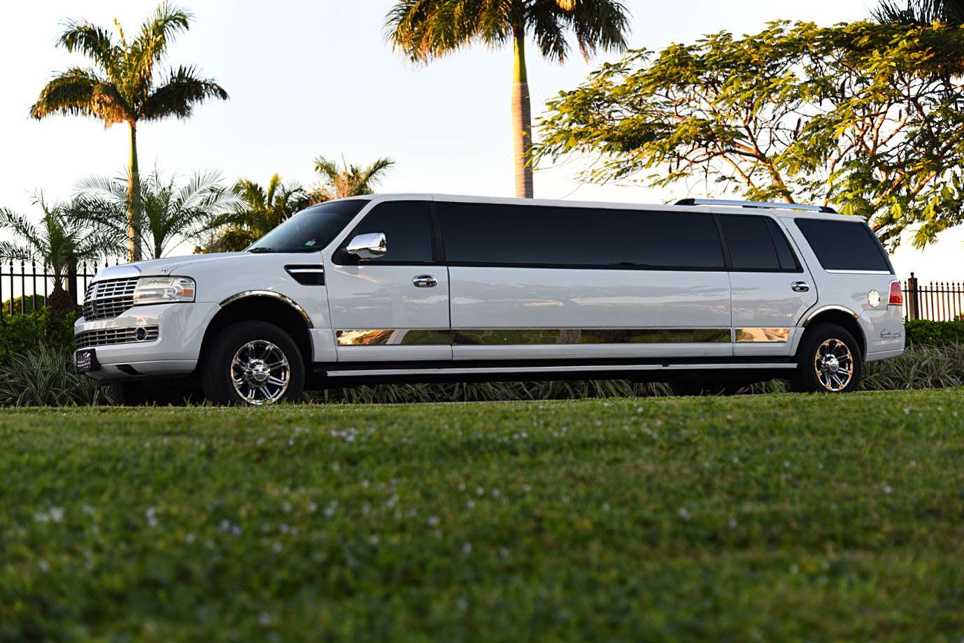 Mountain Stretch Limo